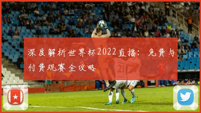 深度解析世界杯2022直播:免费与付费观赛全攻略