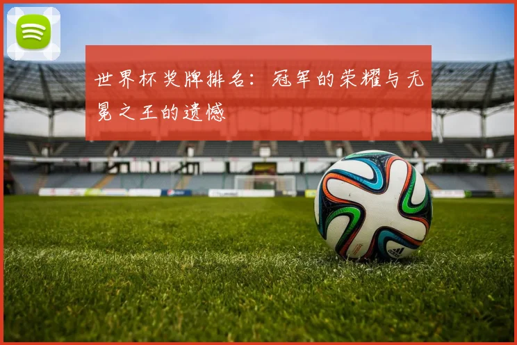 世界杯奖牌排名：冠军的荣耀与无冕之王的遗憾