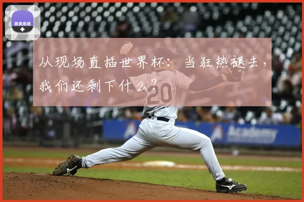 从现场直插世界杯：当狂热褪去，我们还剩下什么？