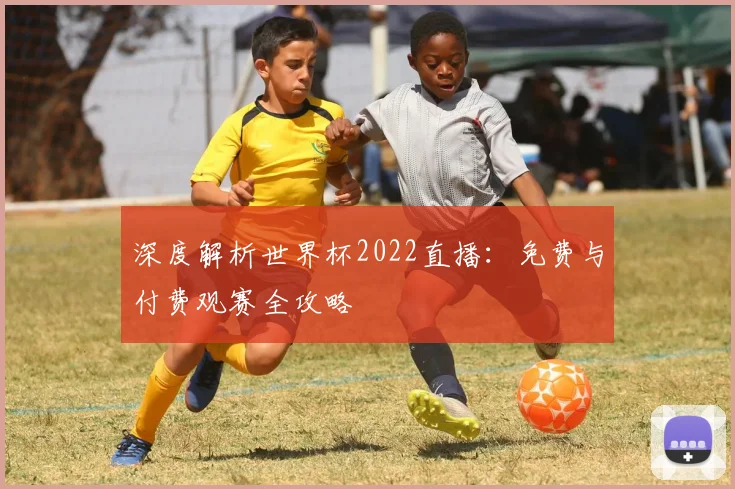 深度解析世界杯2022直播:免费与付费观赛全攻略