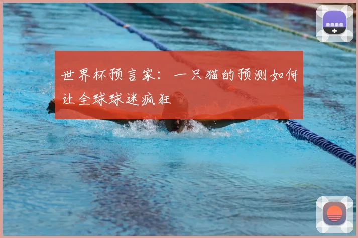 世界杯预言家:一只猫的预测如何让全球球迷疯狂