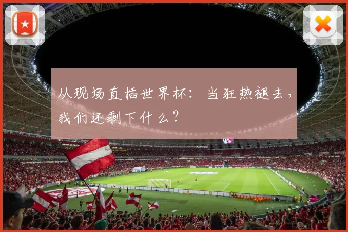 从现场直插世界杯：当狂热褪去，我们还剩下什么？